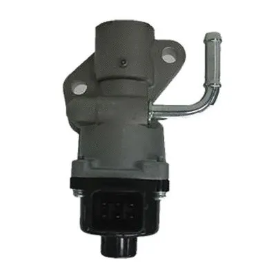 EGR Valve (GI2012)