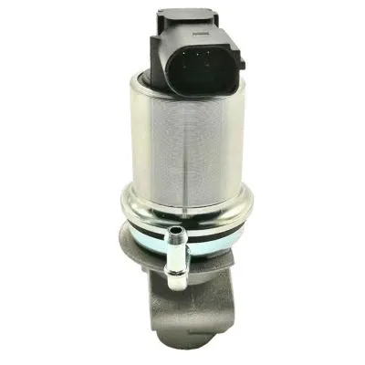 EGR Valve (GI2029)