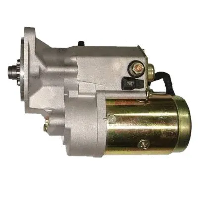 Starter (GA24890)