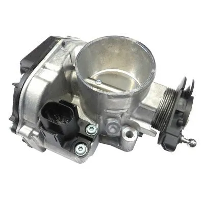 Throttle Body (GI7063)