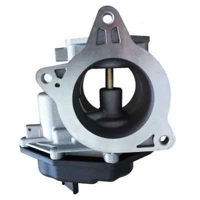 EGR Valve (GI2003)