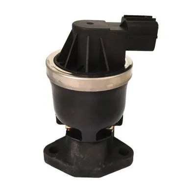 EGR Valve (GI2017)