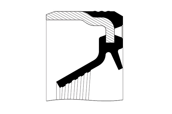 Shaft Seal, crankshaft (410506-V)