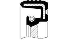 Shaft Seal, camshaft (040692-V)