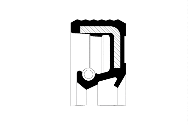 Shaft Seal, manual transmission (045753-P)