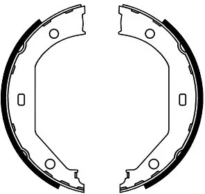Brake Shoe Set, parking brake (FT2051)
