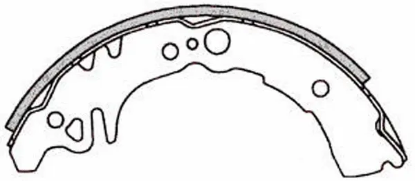 Brake Shoe Set (FT6016)