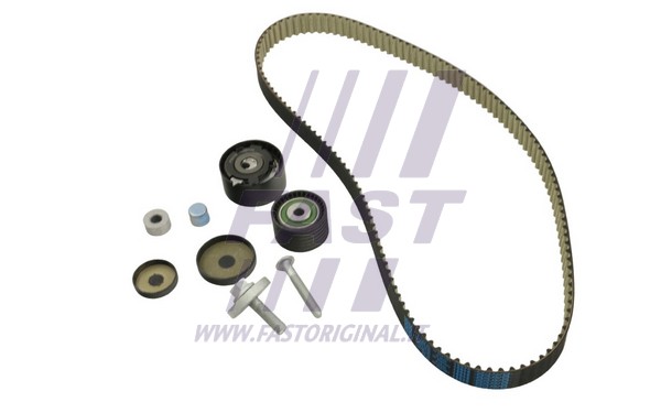 Timing Belt (FT41115)