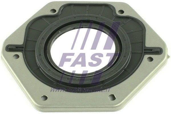 Shaft Seal, differential (FT49752)