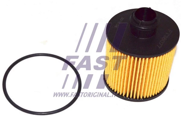 Oil Filter (FT38077)