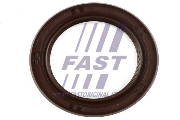 Shaft Seal, differential (FT49709)