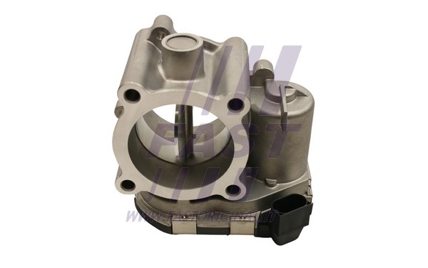 Throttle Body (FT50424)