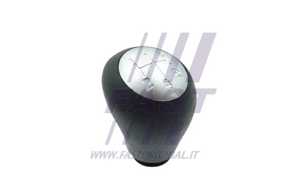 Gear Shift Lever Knob (FT00091)