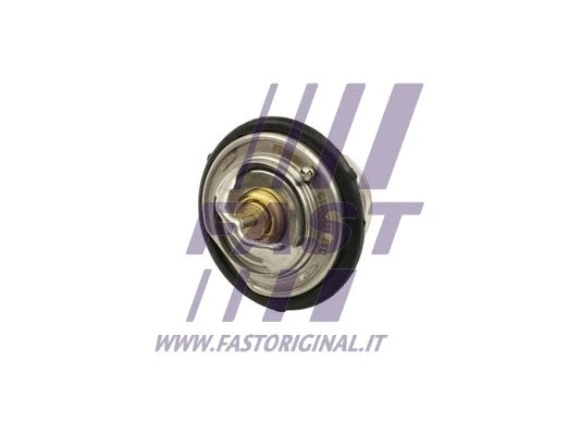 Thermostat, coolant (FT58200)