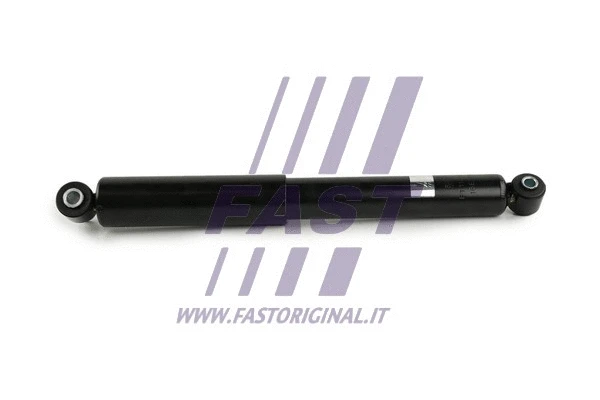 Shock Absorber (FT11243)