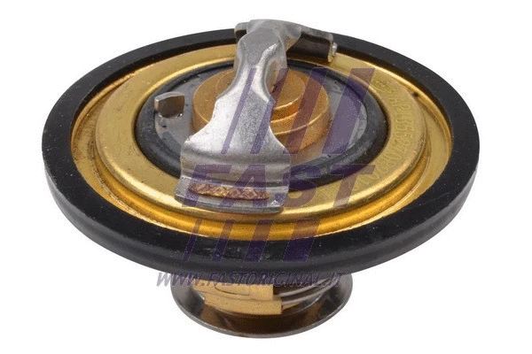 Thermostat, coolant (FT58155)