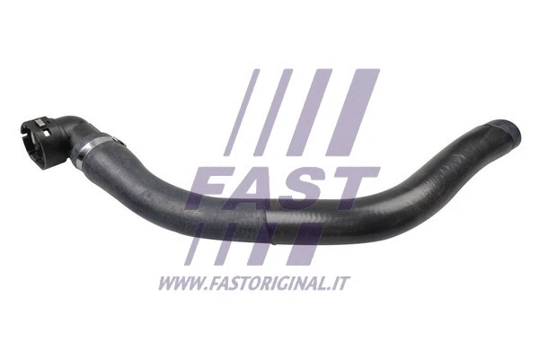 Radiator Hose (FT61333)