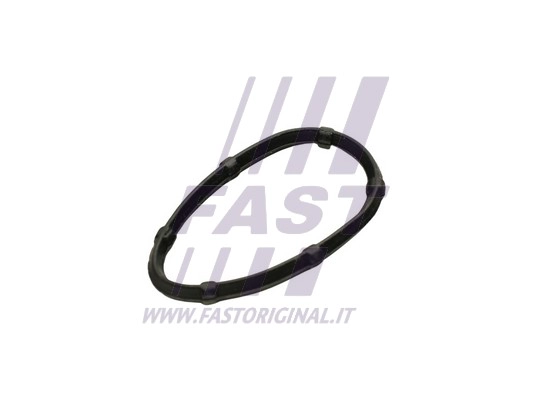 Gasket, exhaust manifold (FT49457)