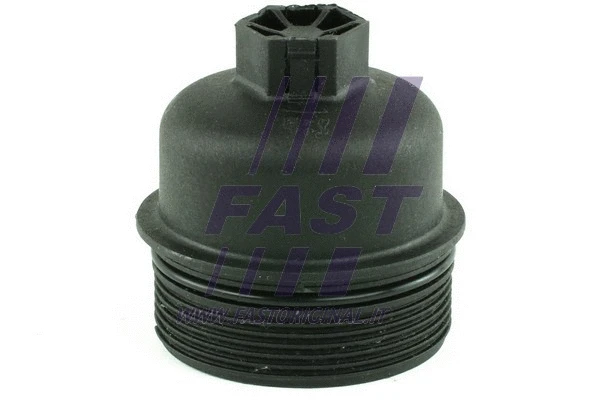 Cap, oil filter housing (FT94725)