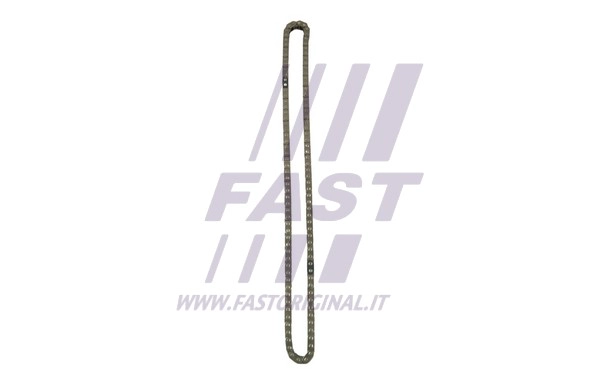 Timing Chain (FT41807)