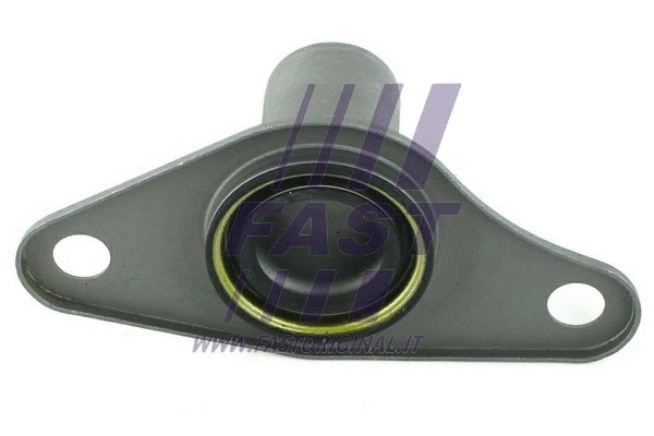 Seal Ring, oil drain plug (FT28205)