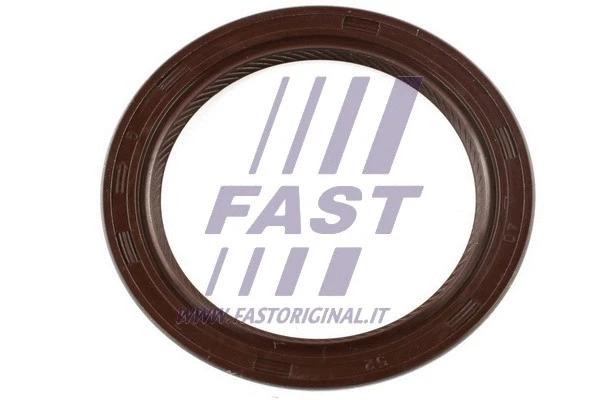 Shaft Seal, differential (FT49813)