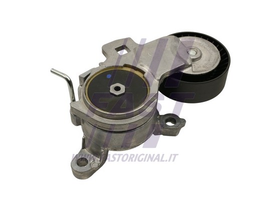 Belt Tensioner, V-ribbed belt (FT44675)