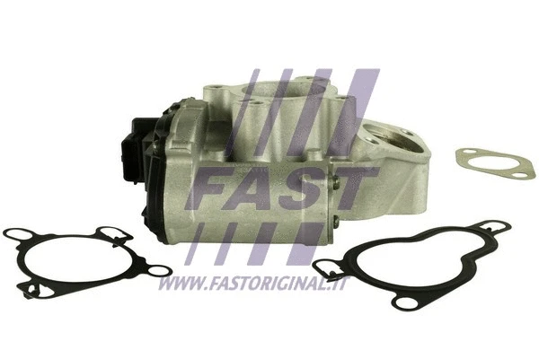 EGR Valve (FT60211)
