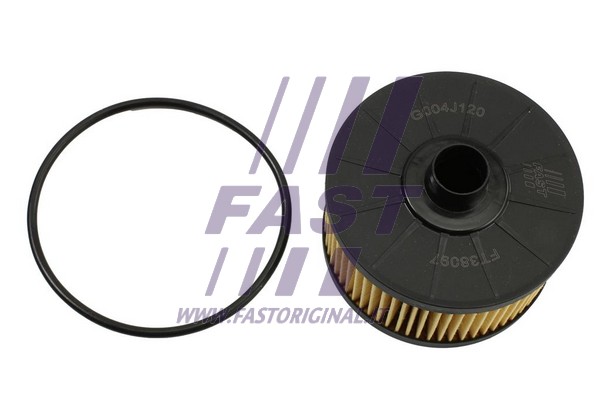 Oil Filter (FT38097)