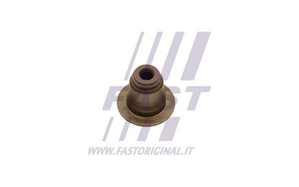 Seal Ring, valve stem (FT49617)