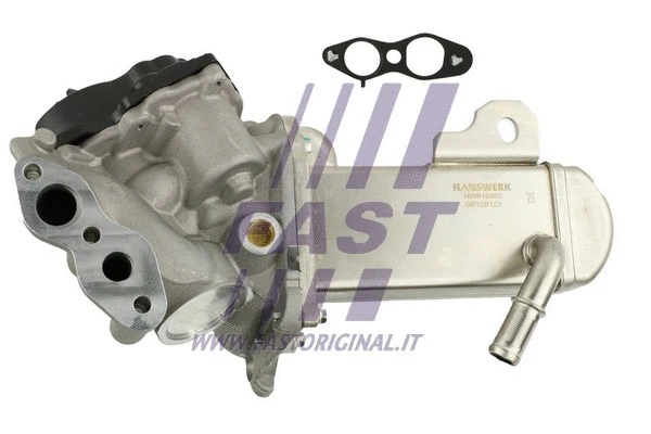 EGR Valve (FT60201)