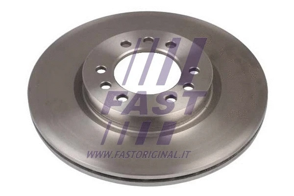 Brake Disc (FT31075)