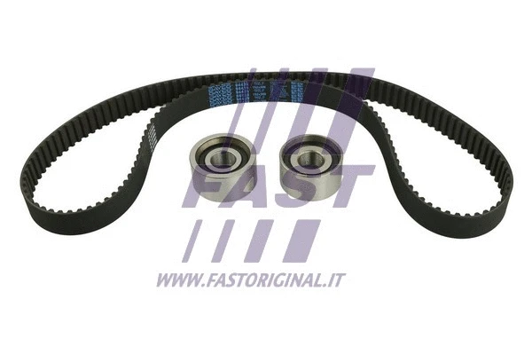 Timing Belt (FT41521)