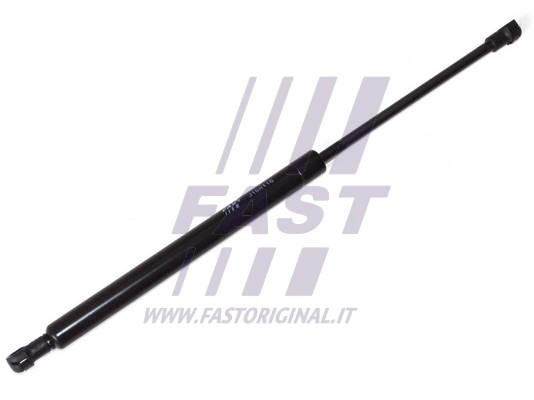 Gas Spring, bonnet (FT94839)