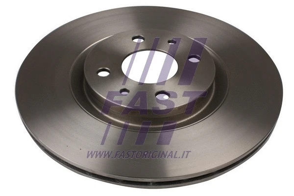 Brake Disc (FT31017)