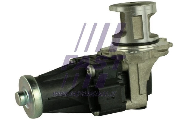 EGR Valve (FT60205)