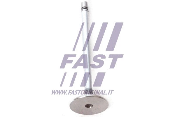 Intake Valve