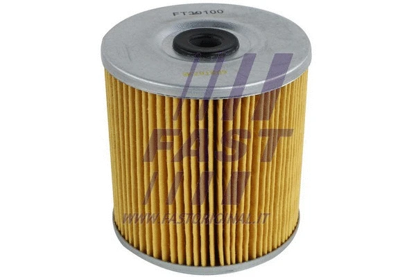 Fuel Filter (FT39100)