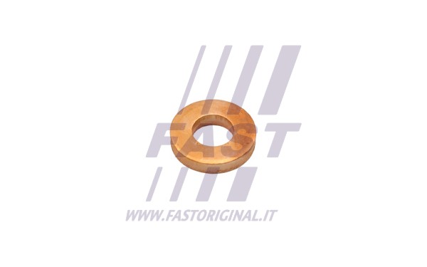 Heat Shield, injection system (FT47801)