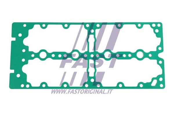 Gasket, cylinder head cover (FT49072)