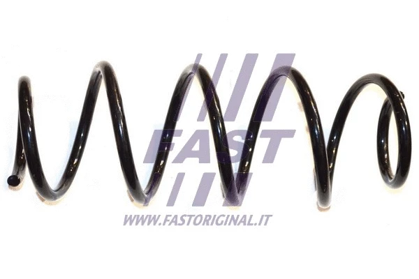 Suspension Spring (FT12256)