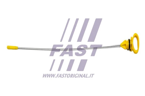Oil Dipstick (FT80317)