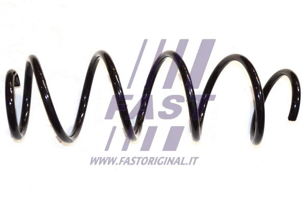 Suspension Spring (FT12245)