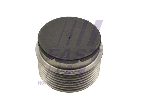 Belt Pulley, alternator (FT45646)