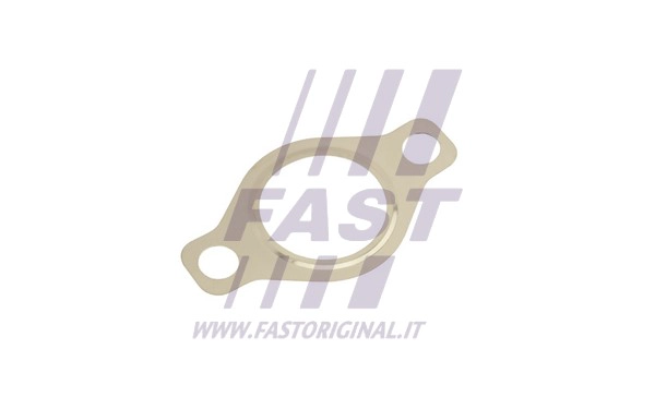 Gasket, EGR valve (FT50618)
