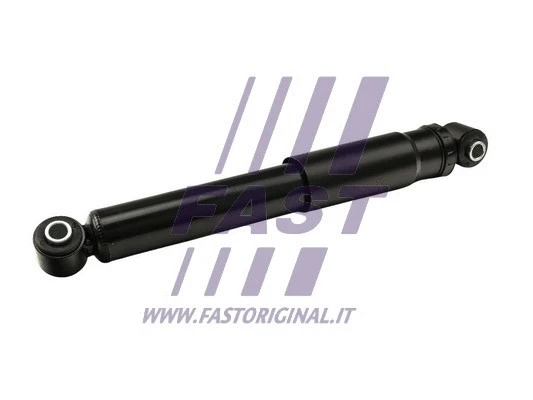 Shock Absorber (FT11125)