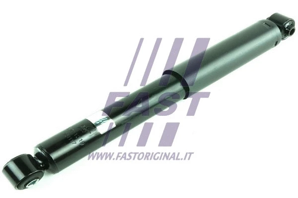 Shock Absorber (FT11319)