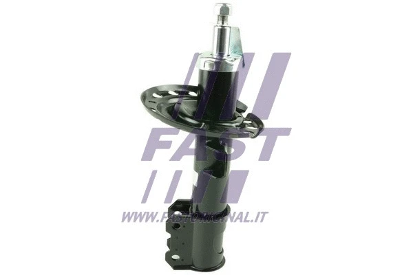 Shock Absorber (FT11091)