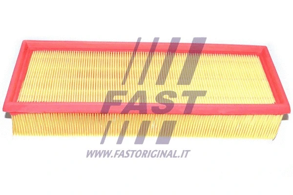 Air Filter (FT37110)