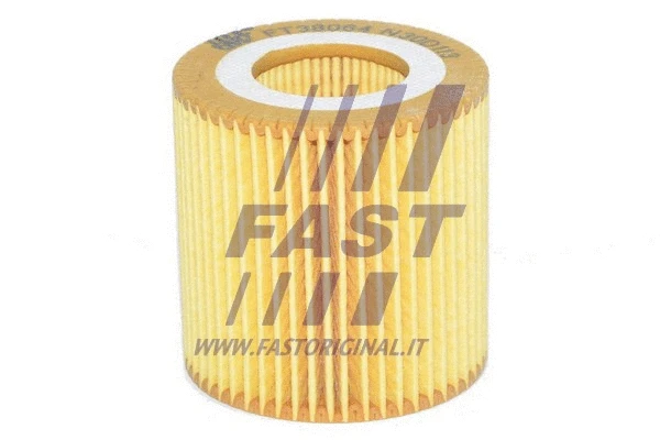 Oil Filter (FT38064)